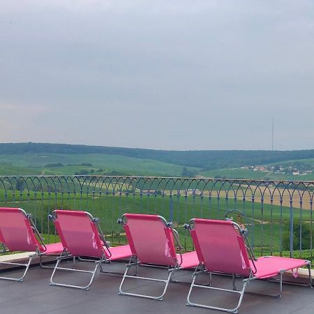 Fleury-la-Riviere Floressens En Champagne Terrasse Privative Sur Le Vignobleヴィラ エクステリア 写真