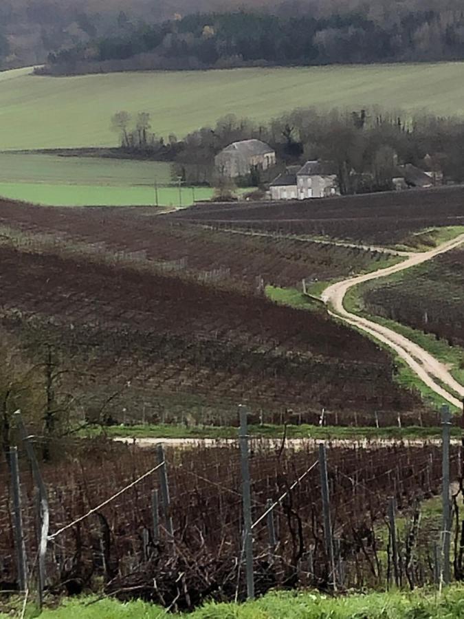 Fleury-la-Riviere Floressens En Champagne Terrasse Privative Sur Le Vignobleヴィラ エクステリア 写真