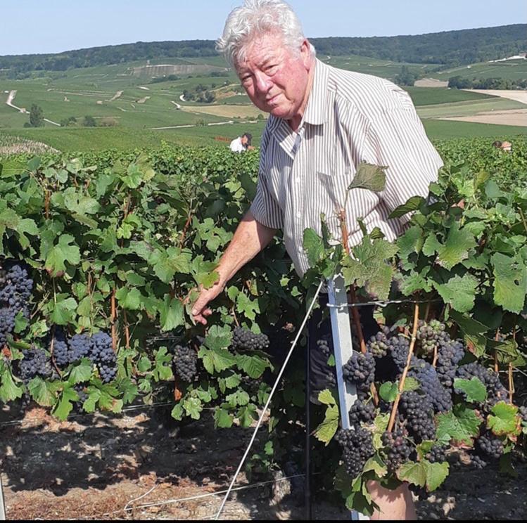 Fleury-la-Riviere Floressens En Champagne Terrasse Privative Sur Le Vignobleヴィラ エクステリア 写真