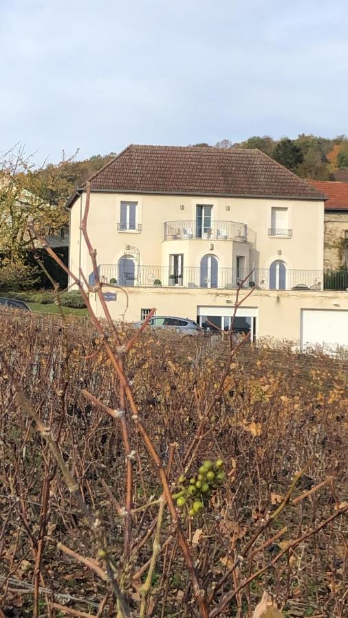 Fleury-la-Riviere Floressens En Champagne Terrasse Privative Sur Le Vignobleヴィラ エクステリア 写真