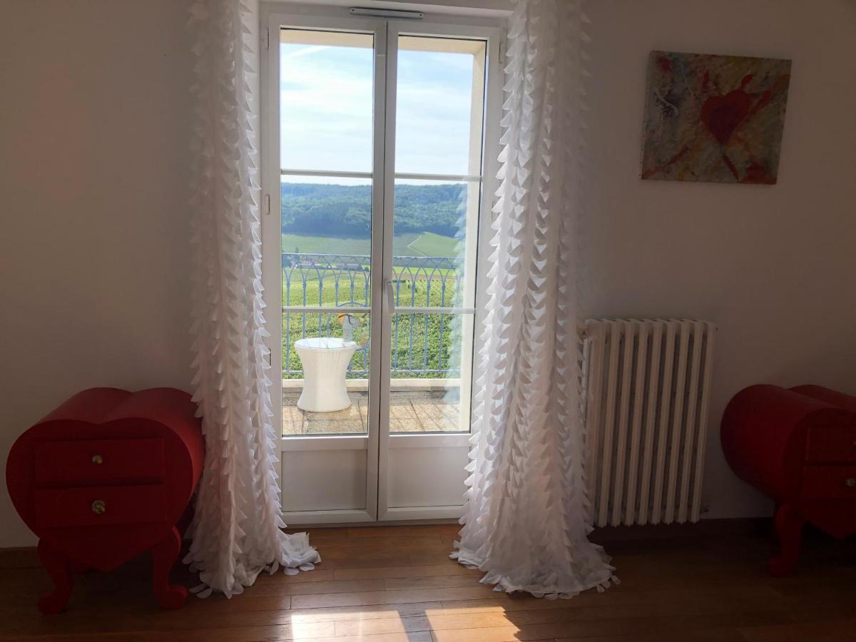 Fleury-la-Riviere Floressens En Champagne Terrasse Privative Sur Le Vignobleヴィラ エクステリア 写真