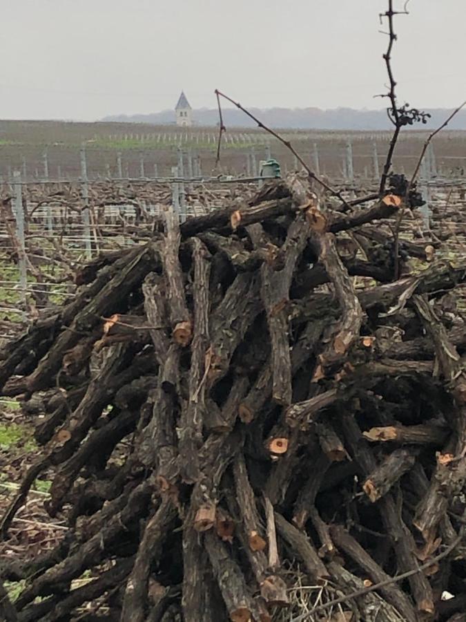 Fleury-la-Riviere Floressens En Champagne Terrasse Privative Sur Le Vignobleヴィラ エクステリア 写真