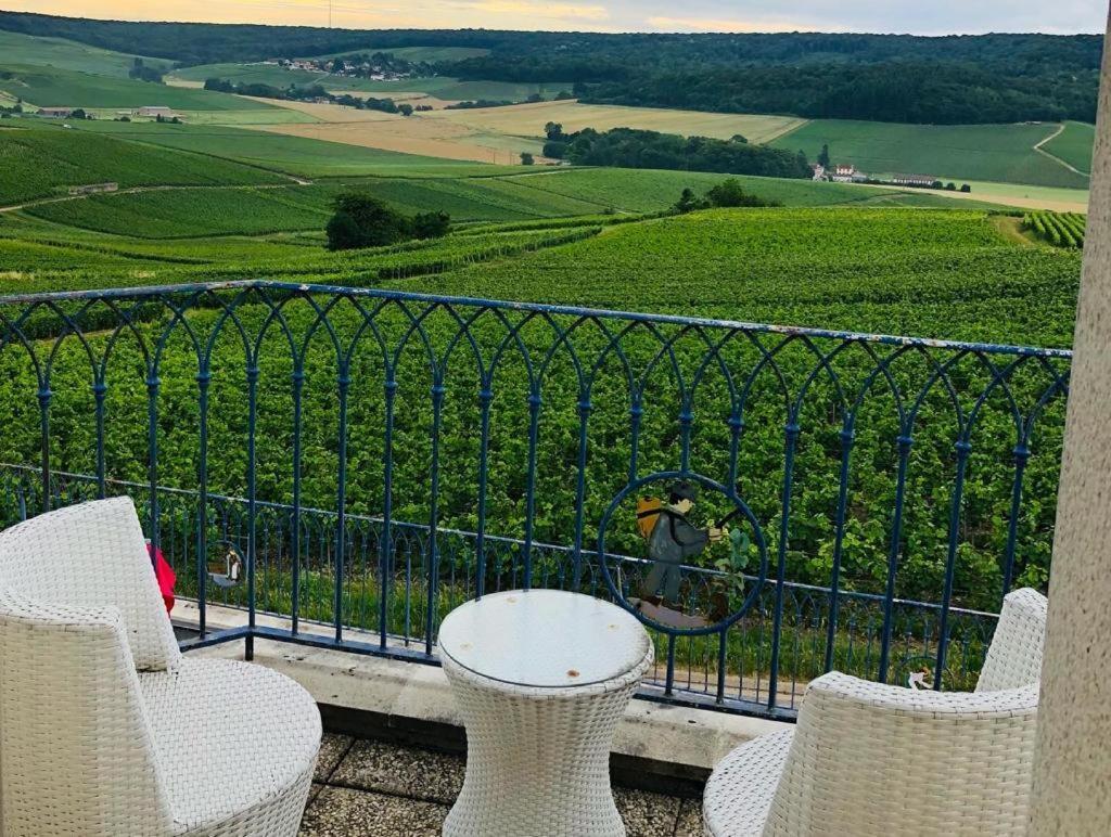 Fleury-la-Riviere Floressens En Champagne Terrasse Privative Sur Le Vignobleヴィラ エクステリア 写真
