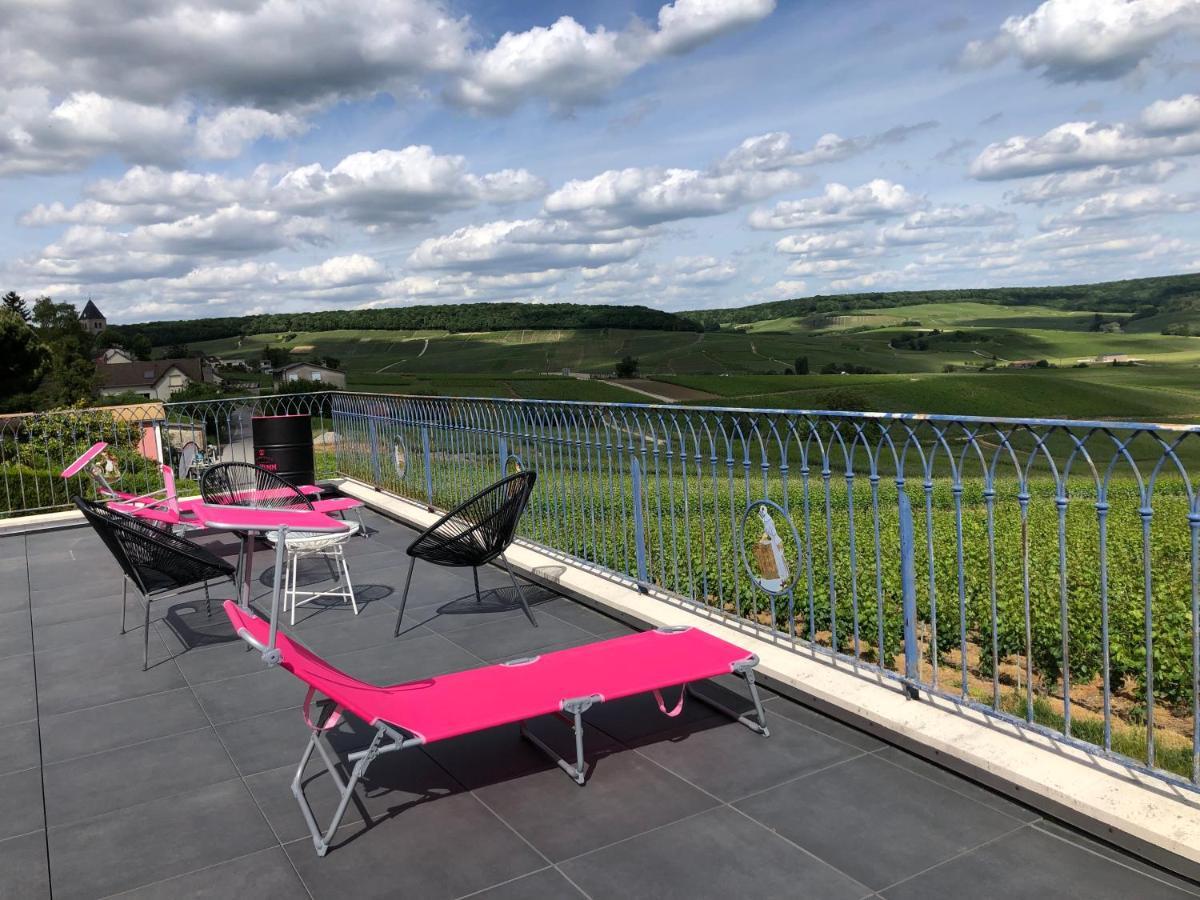 Fleury-la-Riviere Floressens En Champagne Terrasse Privative Sur Le Vignobleヴィラ エクステリア 写真