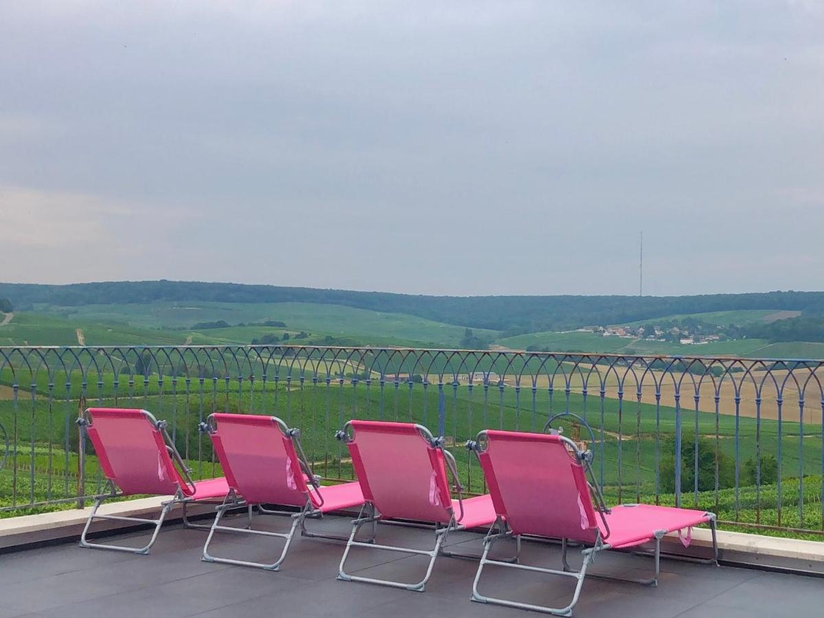 Fleury-la-Riviere Floressens En Champagne Terrasse Privative Sur Le Vignobleヴィラ エクステリア 写真