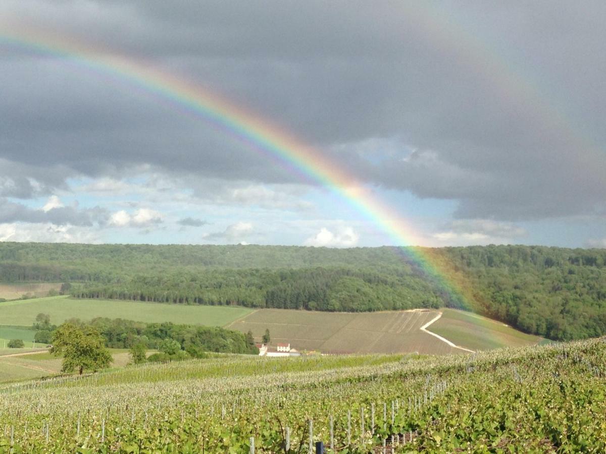 Fleury-la-Riviere Floressens En Champagne Terrasse Privative Sur Le Vignobleヴィラ エクステリア 写真