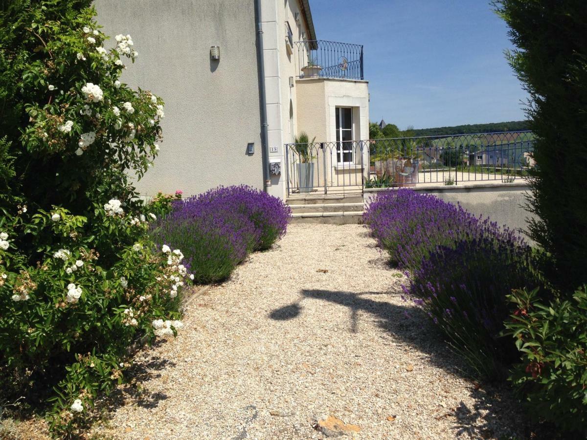 Fleury-la-Riviere Floressens En Champagne Terrasse Privative Sur Le Vignobleヴィラ エクステリア 写真