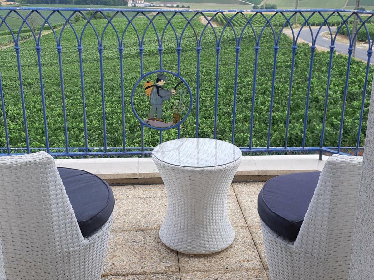 Fleury-la-Riviere Floressens En Champagne Terrasse Privative Sur Le Vignobleヴィラ エクステリア 写真